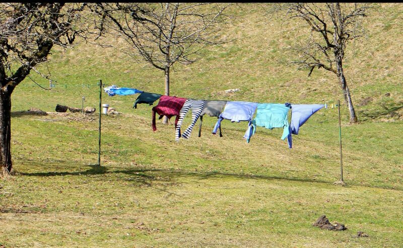 laundry, rope, garments, dry, dry laundry, hang laundry
