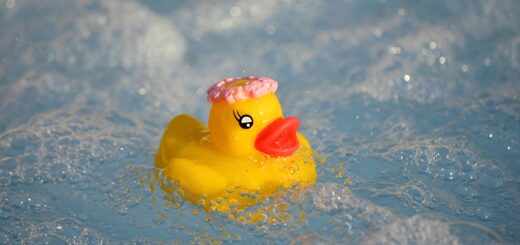 rubber duck, hot tub, swimming pool, bath toy, water, foam, air bubbles, squeaky duck, bath duck, rubber ducks, swim, bathing fun, cute, summer, pool, vacations, vacation, tied