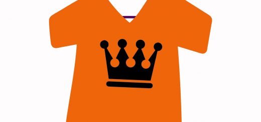 Crown Shirt Orange Shirt Clothing  - BiancaVanDijk / Pixabay