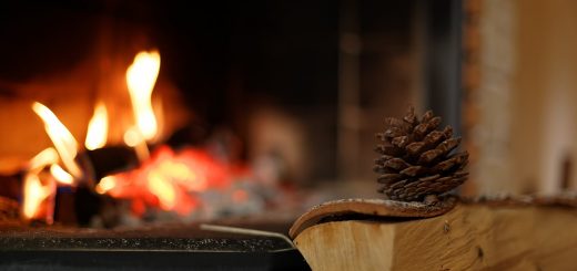 Fireplace Cozy Fire Burning  - GaukharYerk / Pixabay