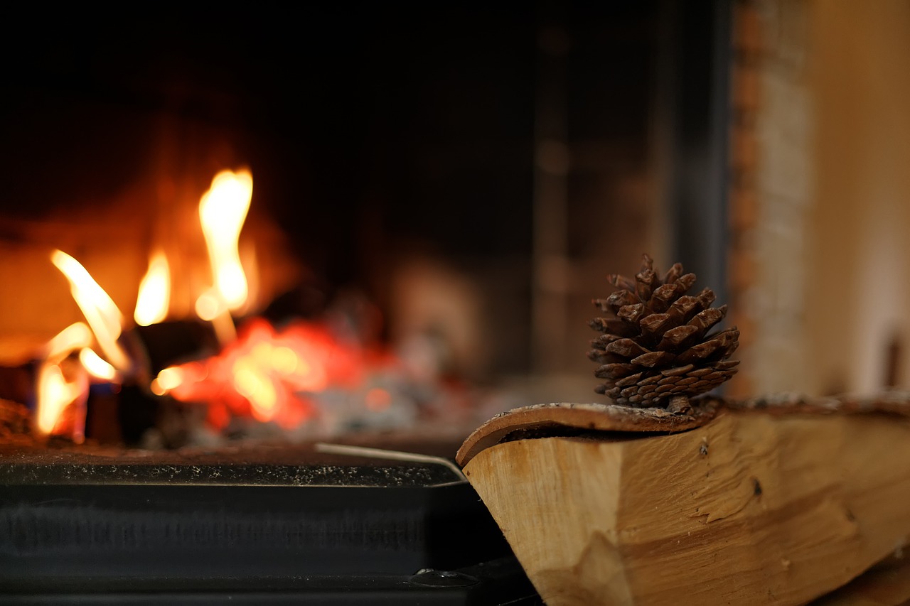 Fireplace Cozy Fire Burning  - GaukharYerk / Pixabay