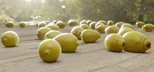 Fruit Lemon Citrus Harvest  - alffarr / Pixabay