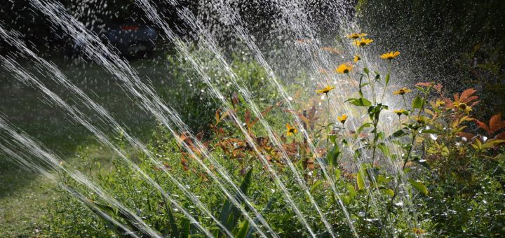 Garden Irrigation Water Sprinkler  - Peggychoucair / Pixabay