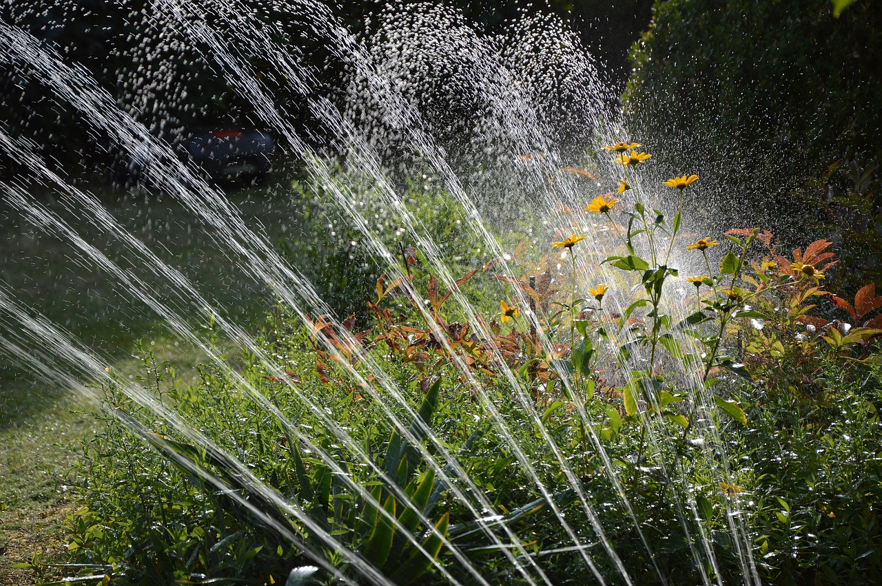 Garden Irrigation Water Sprinkler  - Peggychoucair / Pixabay