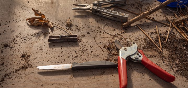 Gardening Work Table Tool  - AndreasGoellner / Pixabay