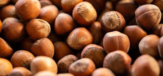 Hazelnut Shell Nuts Food Healthy  - Engin_Akyurt / Pixabay