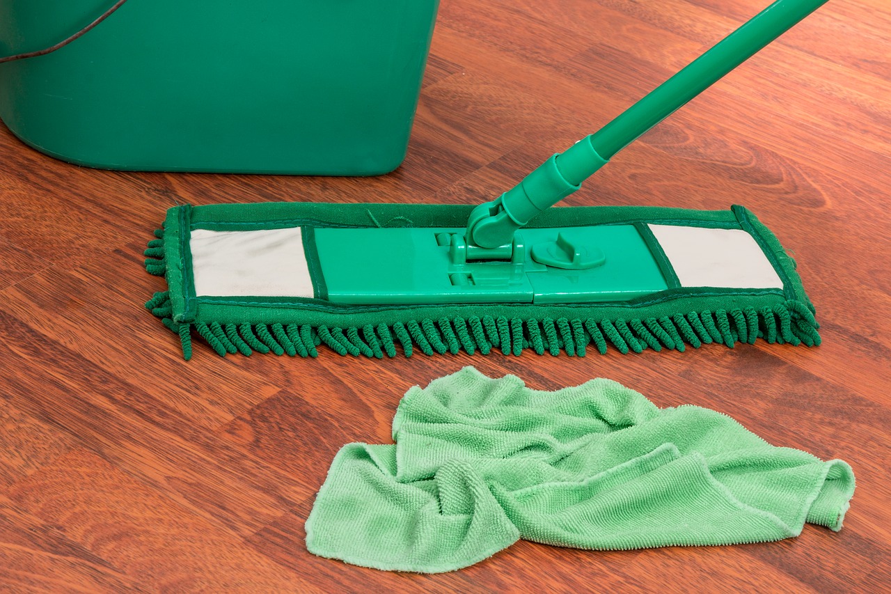 Mop Bucket Chores Housework Clean  - stevepb / Pixabay