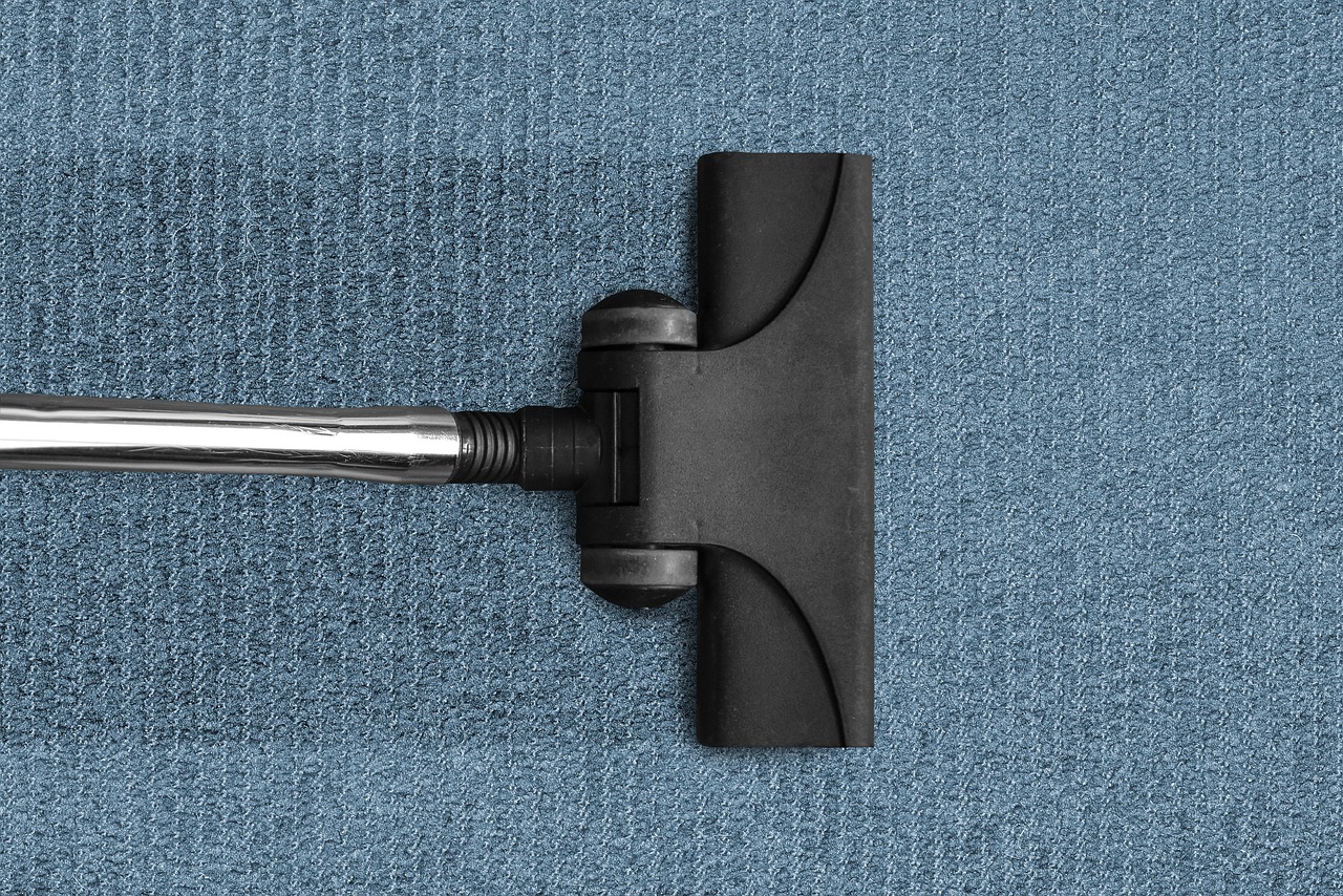 Vacuum Cleaner Vacuuming Cleaning  - Daw8ID / Pixabay