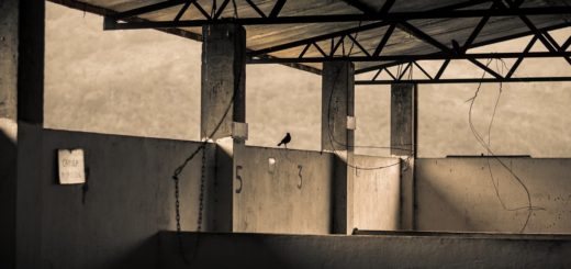 Warehouse Concrete Vacuum Industry  - yairventuraf / Pixabay
