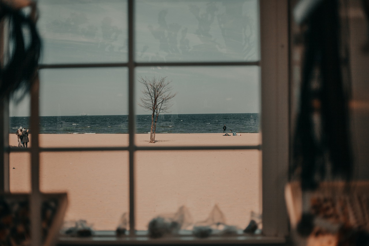 Window Beach Sea Tree Coast  - deni_eliash / Pixabay