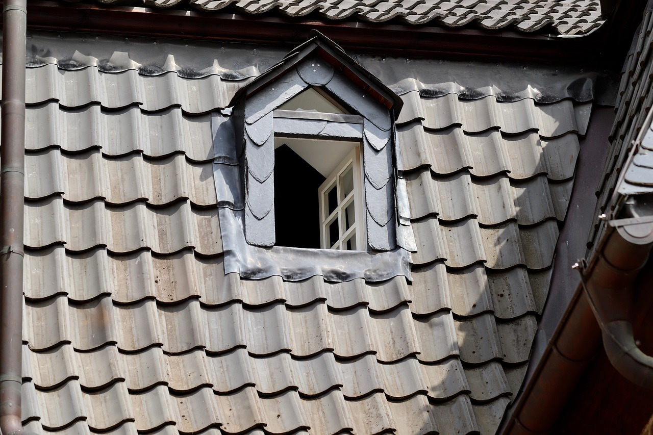 Window Dormer Historically  - Nennieinszweidrei / Pixabay
