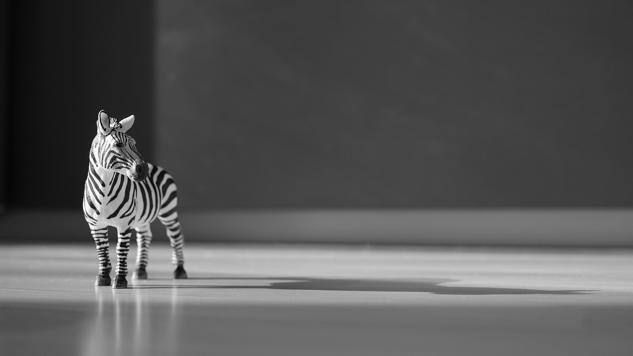 Zebra Toy Figure Slow Action Figure  - Mylene2401 / Pixabay